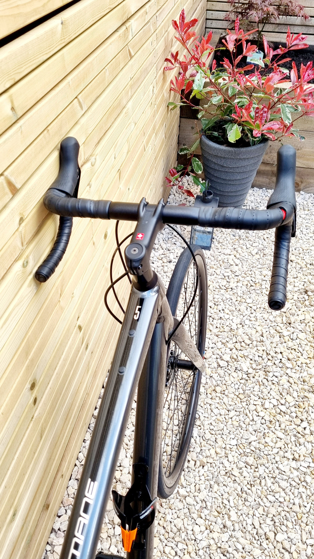 Trek Domane AL 5 Disc 2022