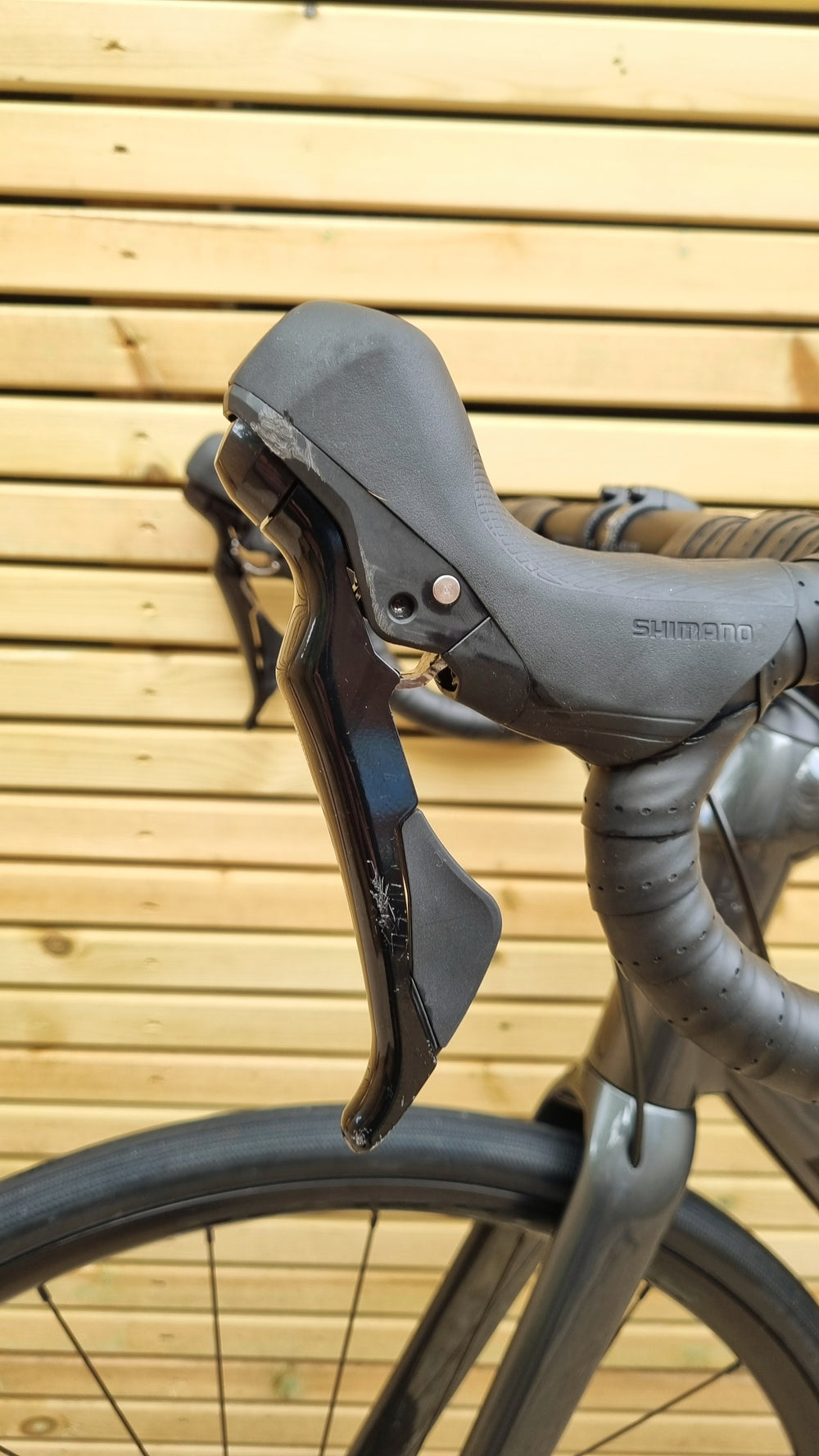 Trek Domane AL 5 Disc 2022