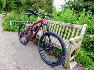 Trek Remedy 7 2022