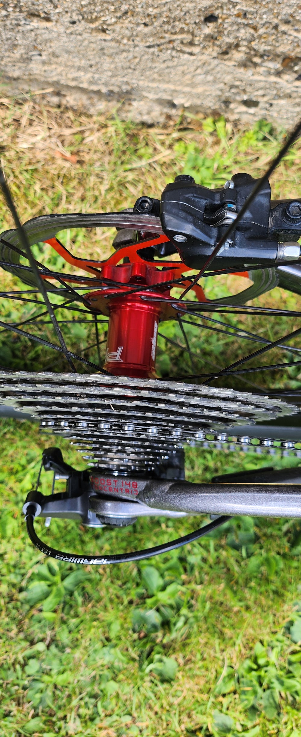 Orbea OCCAM H30 2022