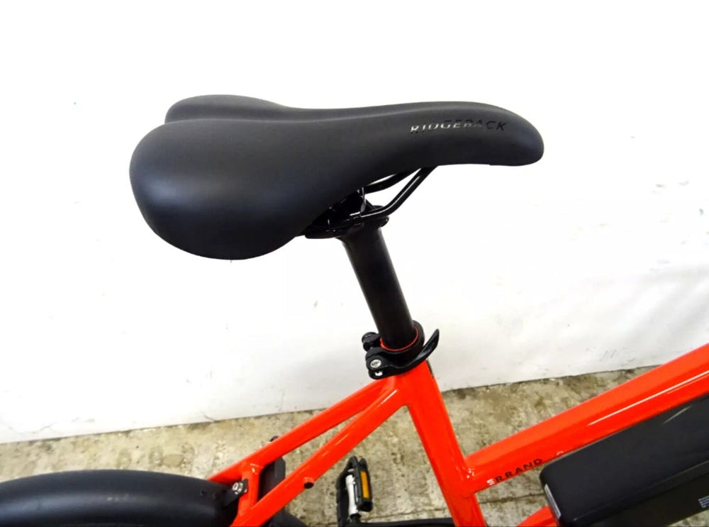 Ridgeback Errand 2024