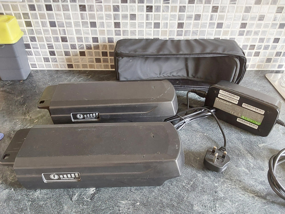 Giant Entour E+ 2 GTS 2022