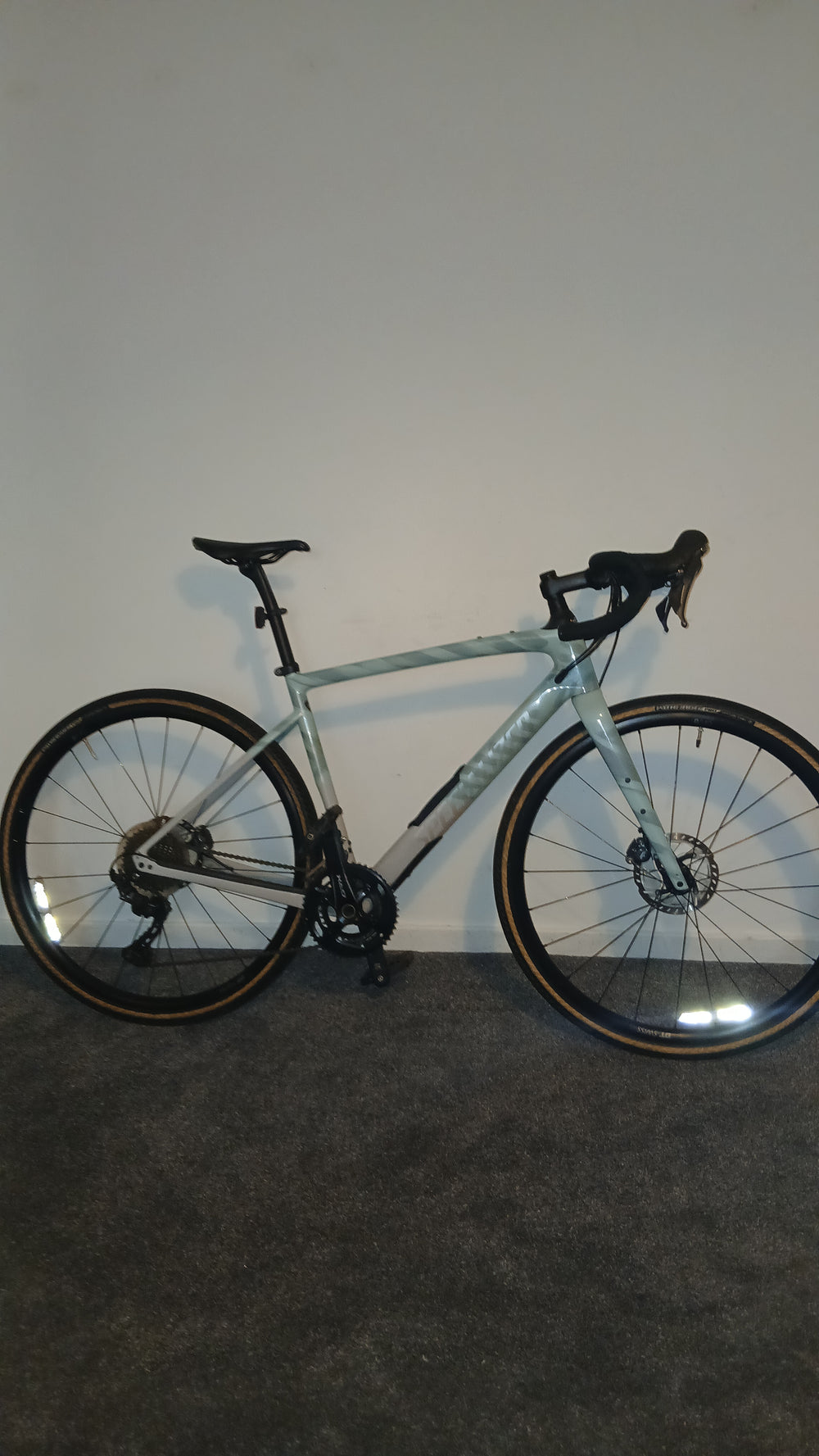 Specialized Diverge Comp Carbon 2021