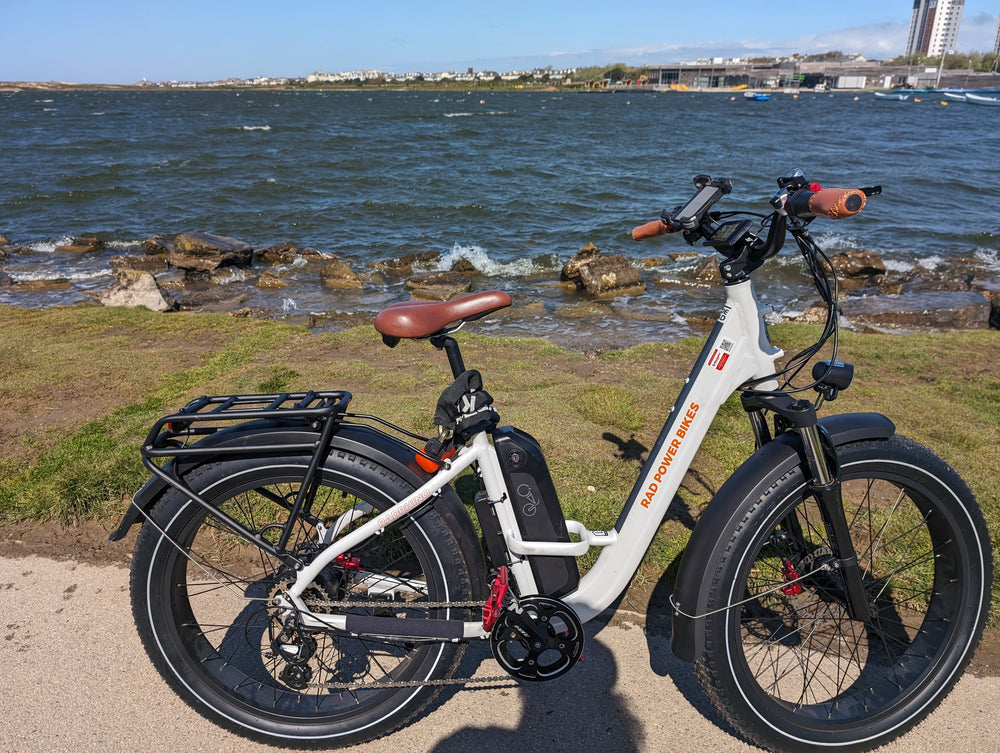 Rad Power Bikes RadRhino Step-Thru 1 250W 2023