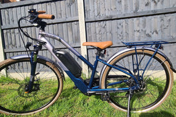 ϟ Raleigh Array 2022