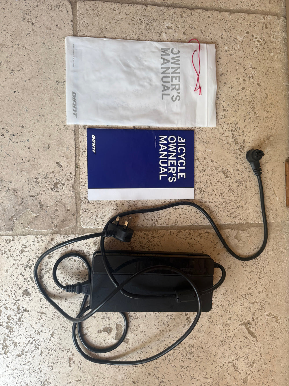 Giant Reign E+ 2 2022