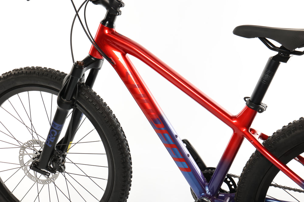 SUNPEED HERO 20" & 24"