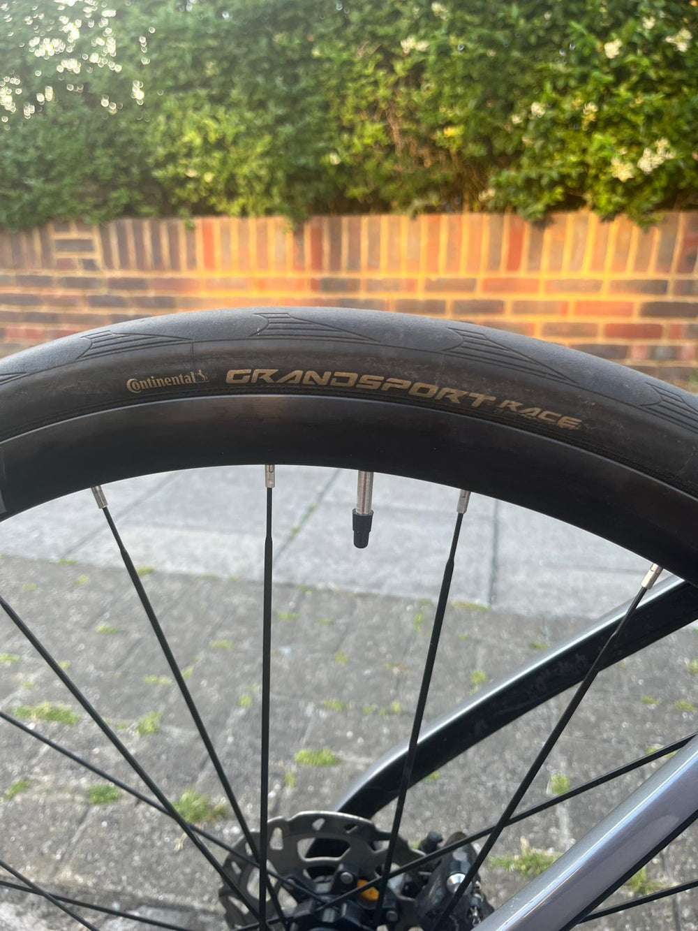Orro Venturi STC 105 Di2 2022