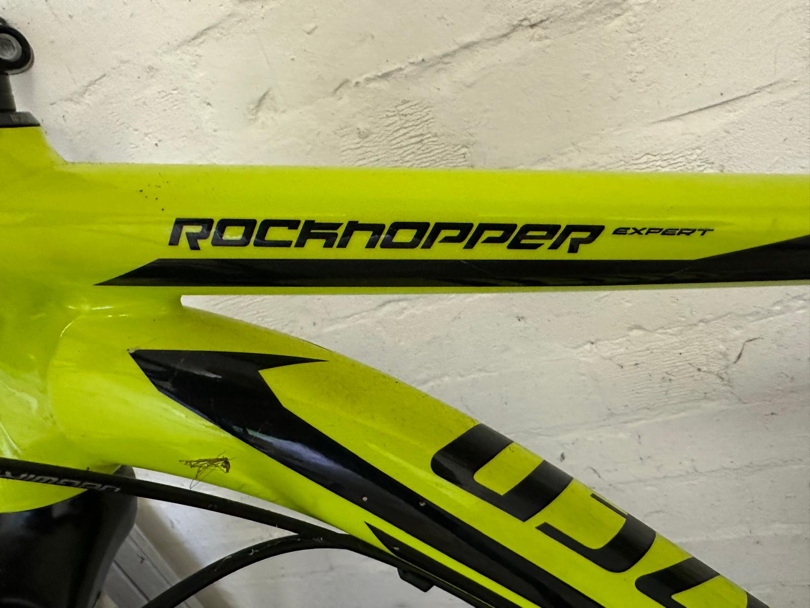 Specialized Rockhopper Expert 29 2015