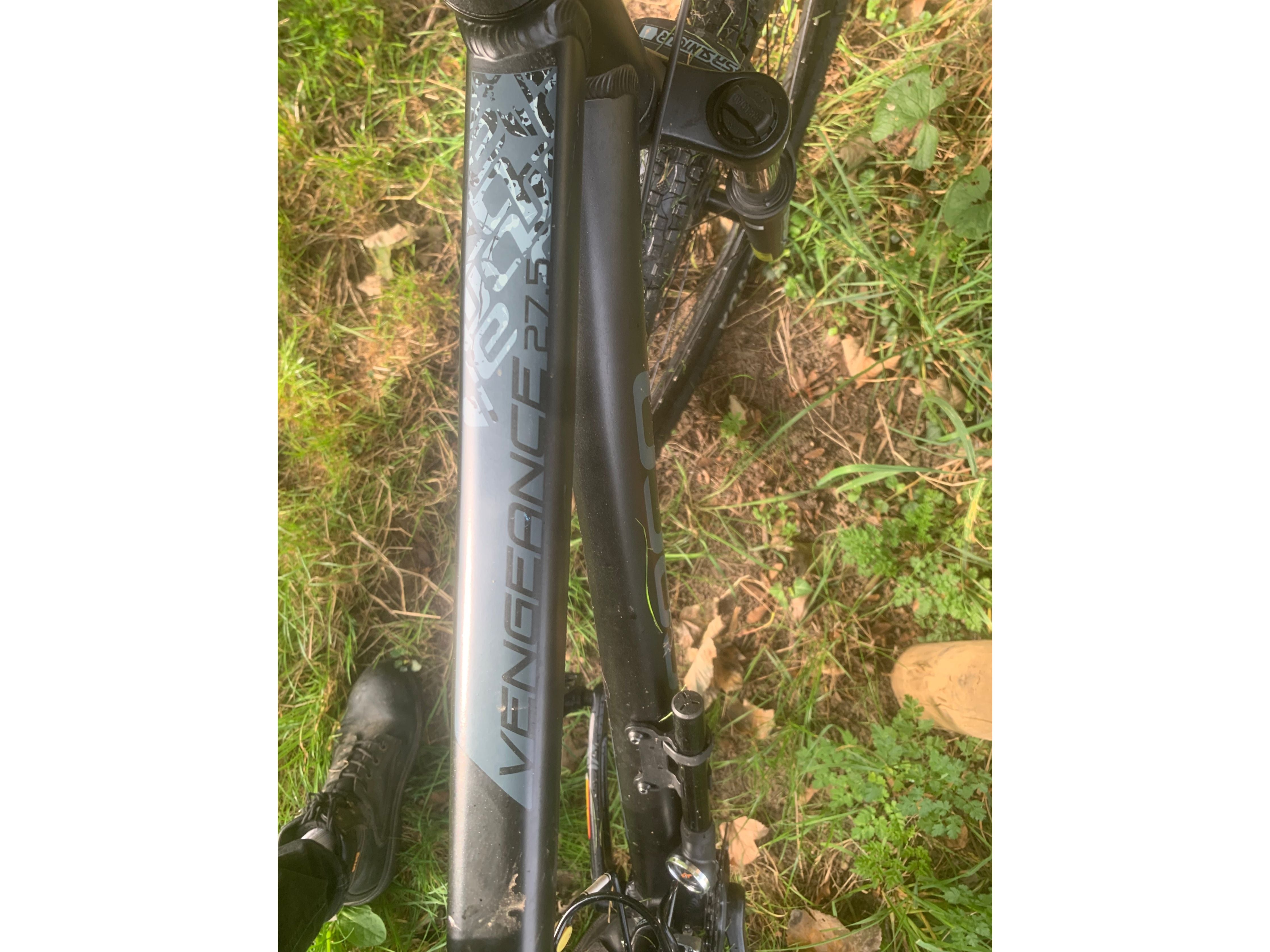 Carrera vengeance online forks