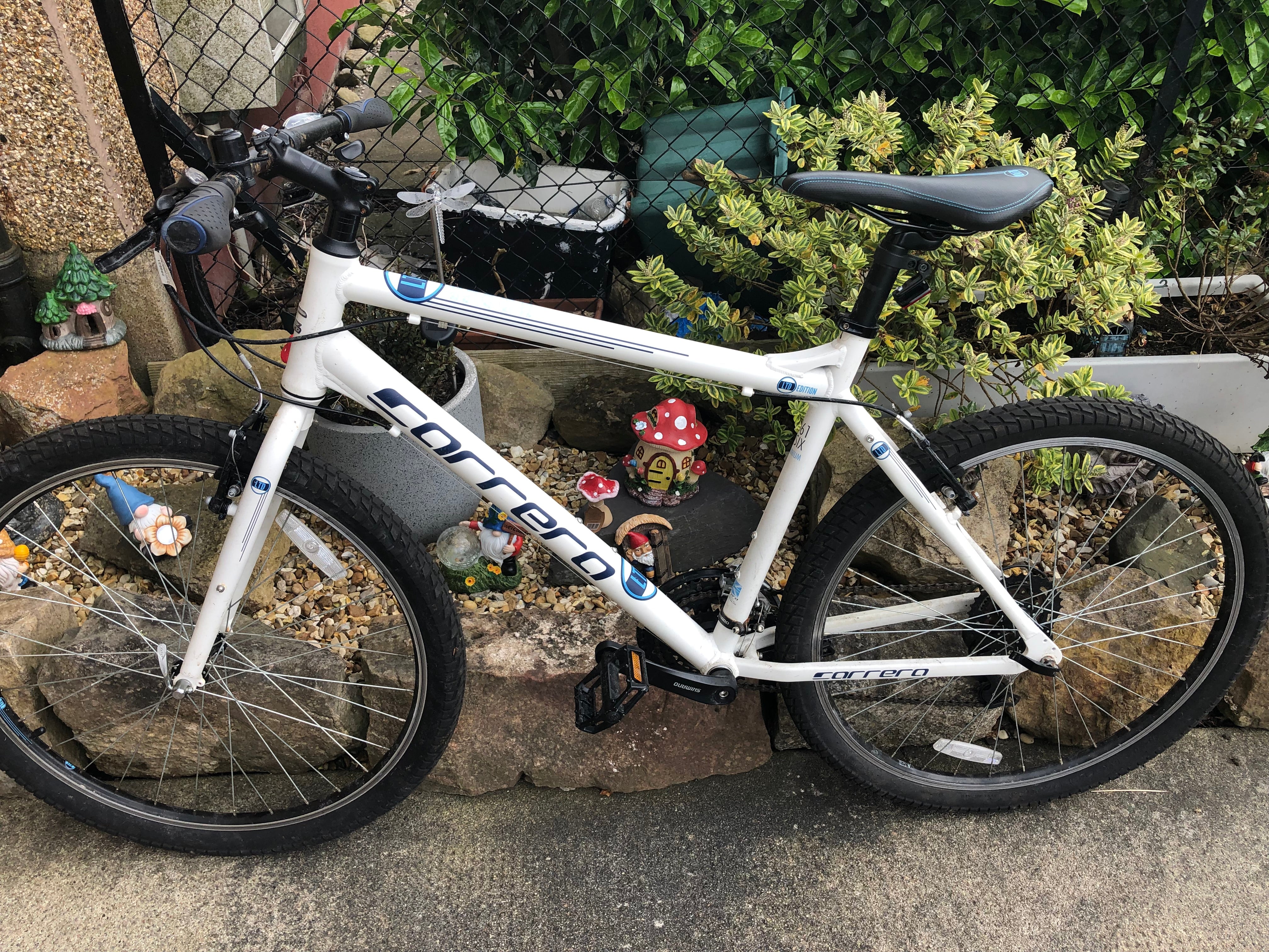 Blue and white carrera bike sale