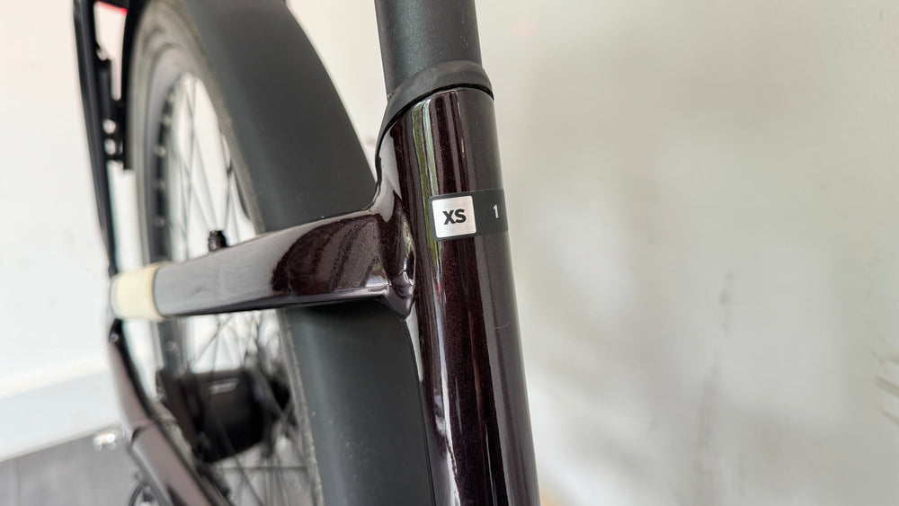 Liv Allure E+ 1 EXTRA SMALL Electric Hybrid Bike 2022 in Rosewood Belt Drive