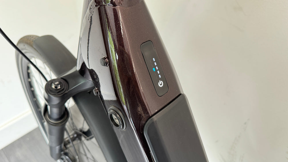Liv Allure E+ 1 EXTRA SMALL Electric Hybrid Bike 2022 in Rosewood Belt Drive