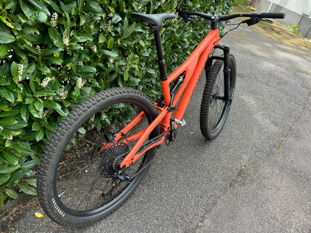 Specialized Stumperjumper 2002
