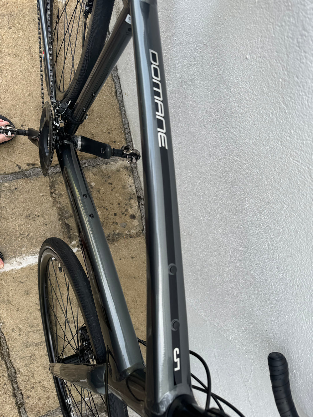 Trek Domane AL 5 Disc 2022