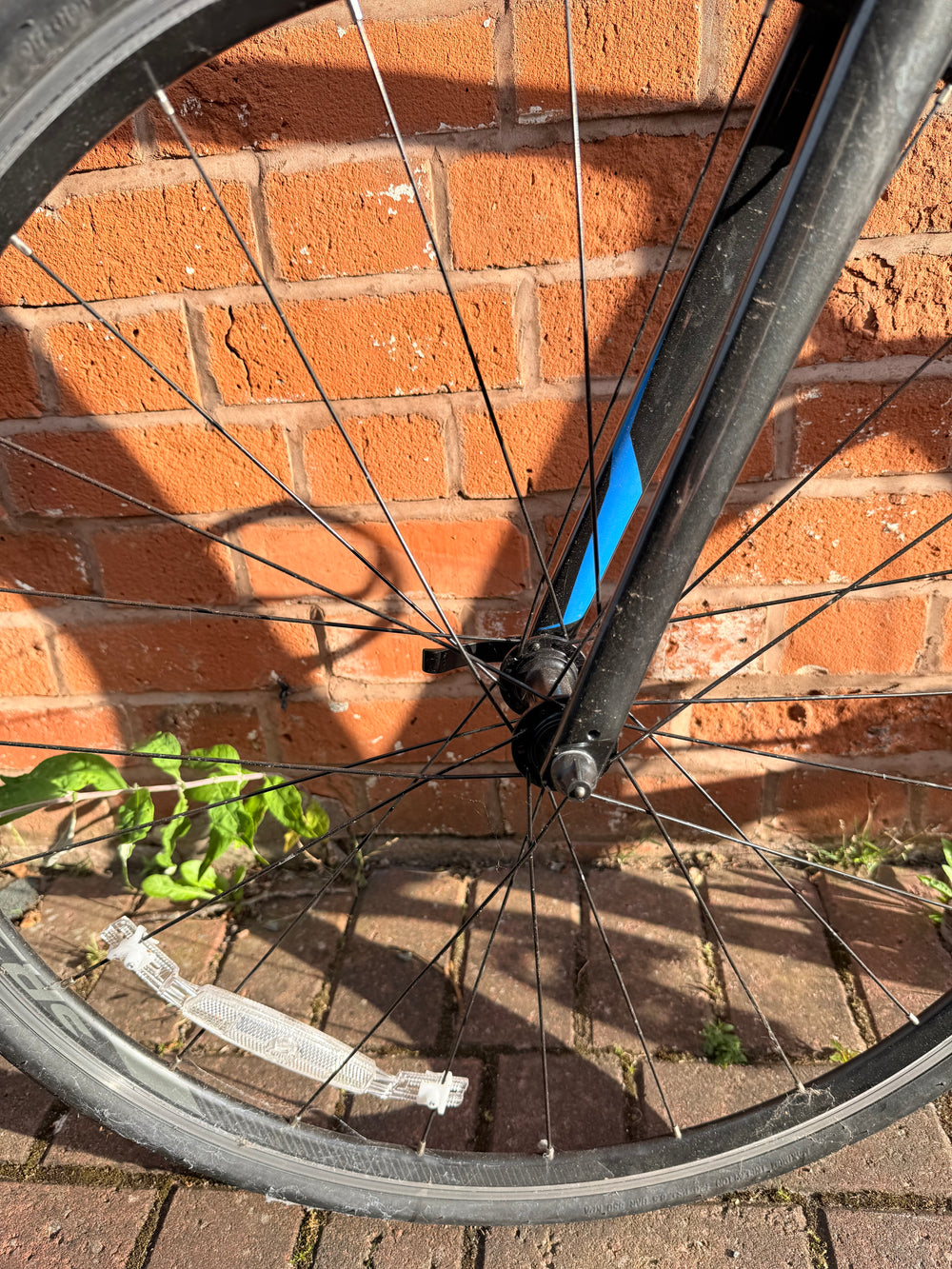 Giant Contend SL 1 2022