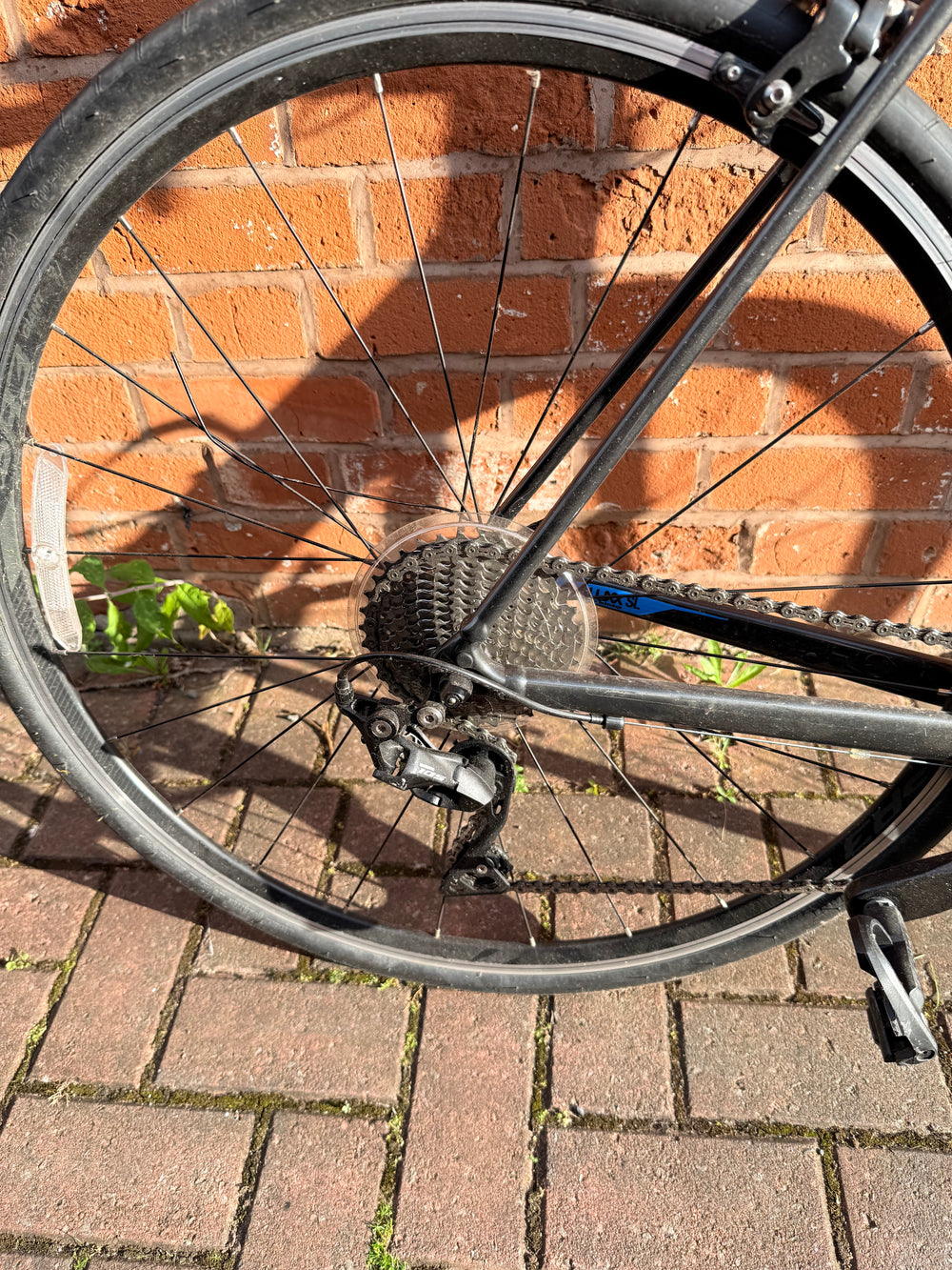 Giant Contend SL 1 2022