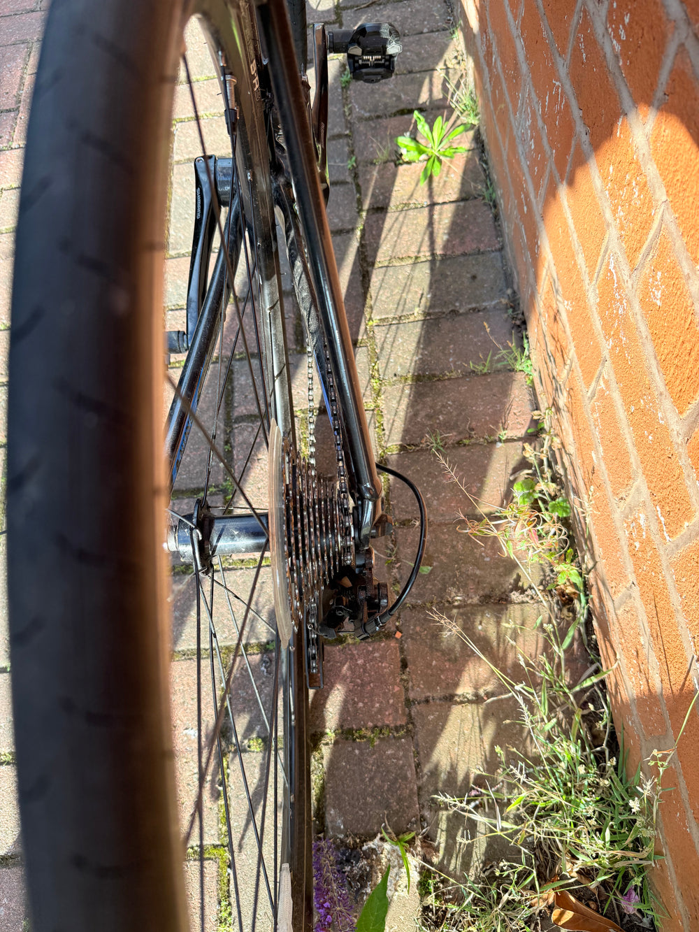 Giant Contend SL 1 2022