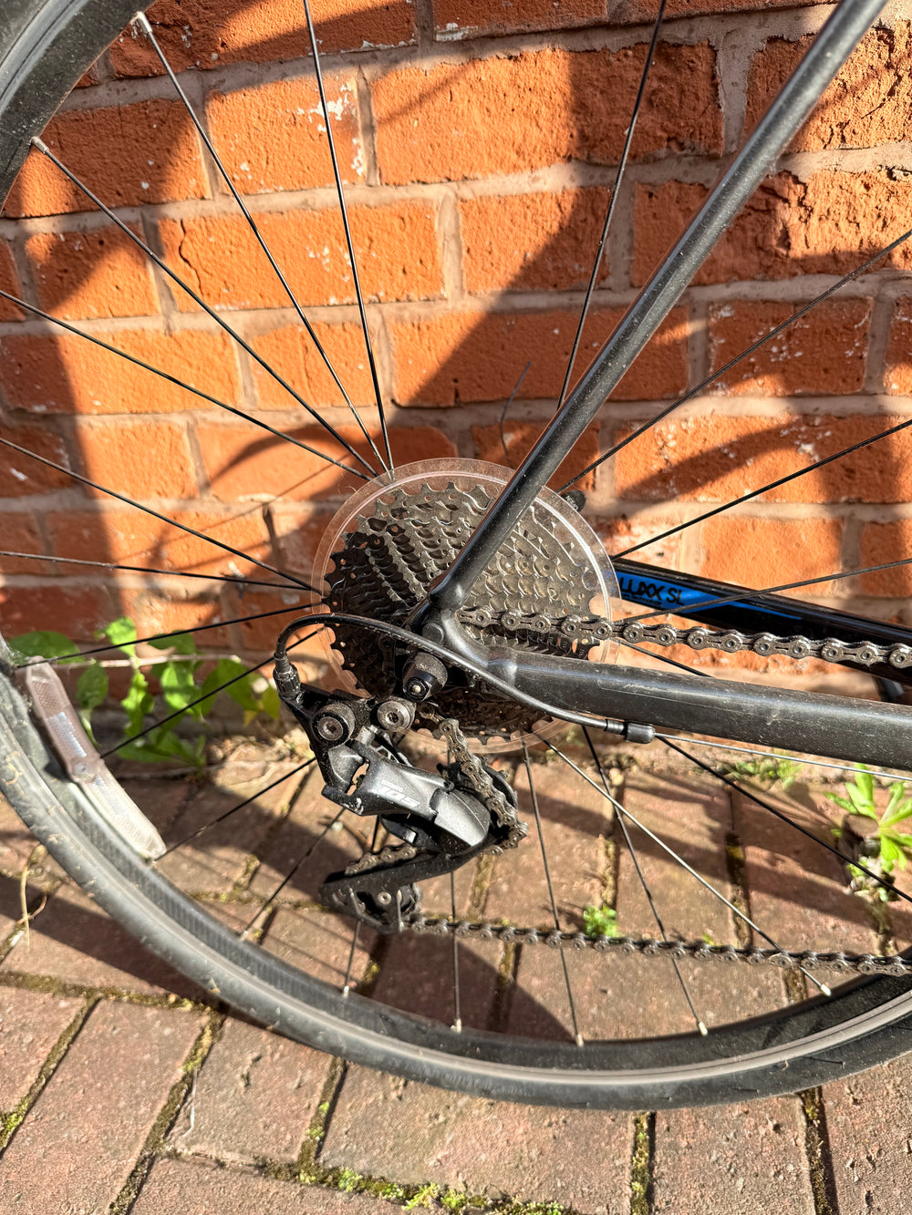 Giant Contend SL 1 2022