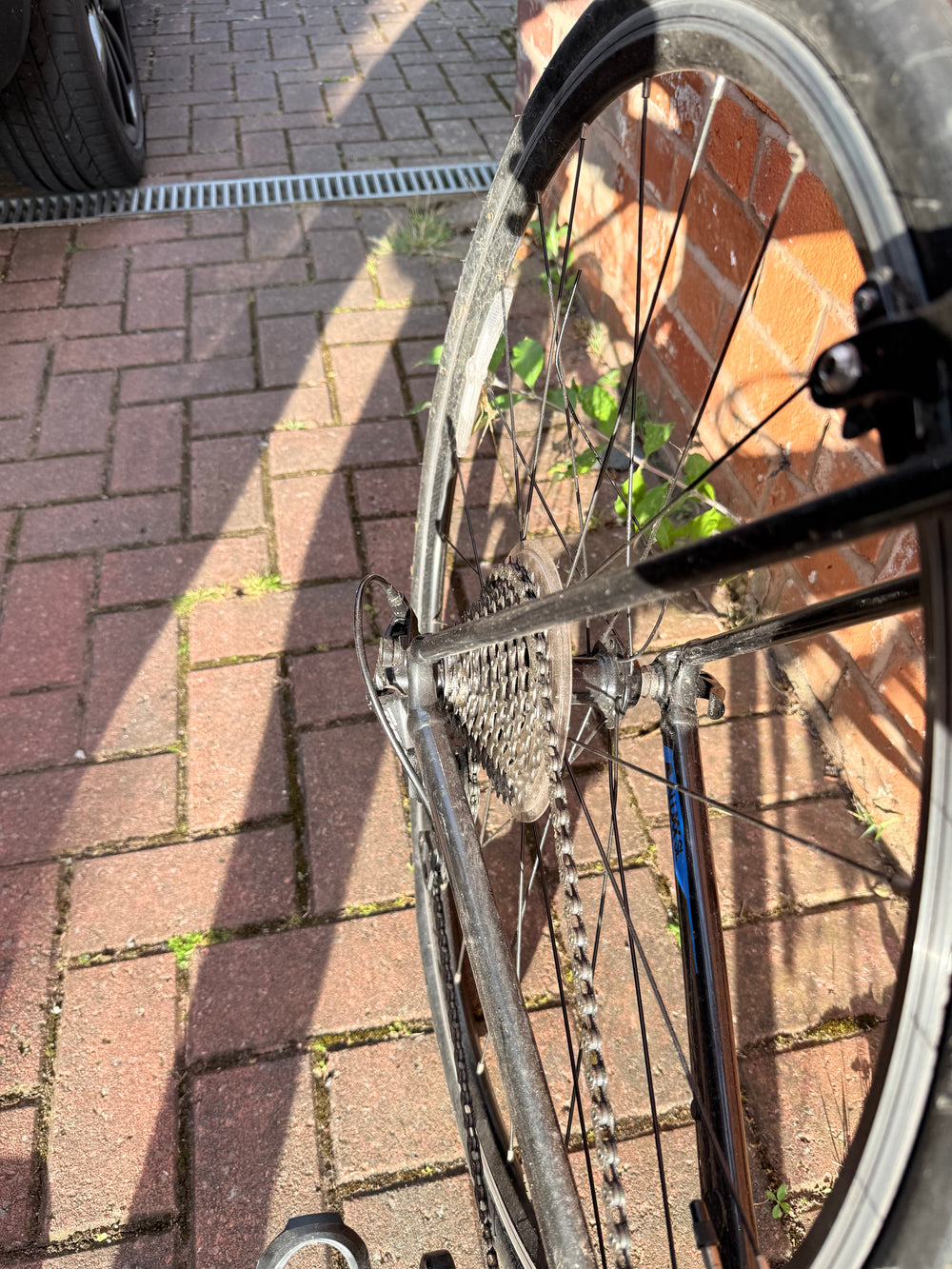 Giant Contend SL 1 2022