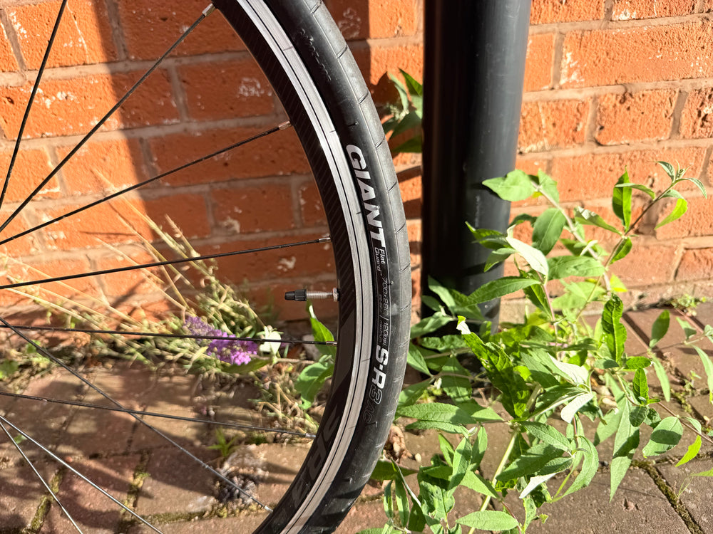 Giant Contend SL 1 2022