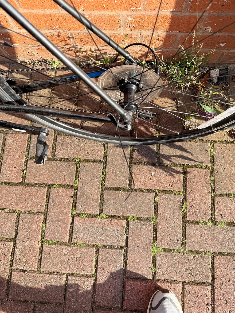 Giant Contend SL 1 2022