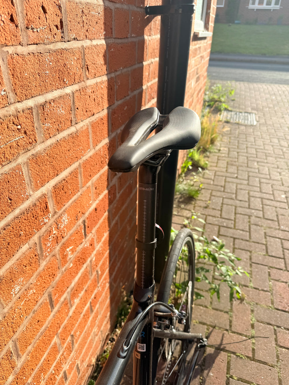 Giant Contend SL 1 2022