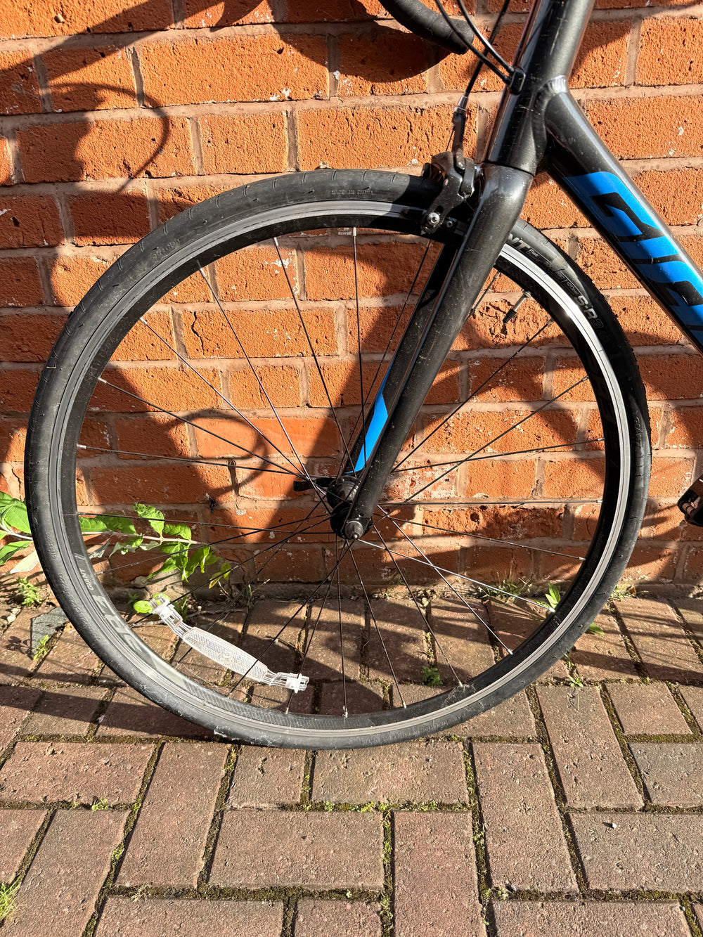 Giant Contend SL 1 2022