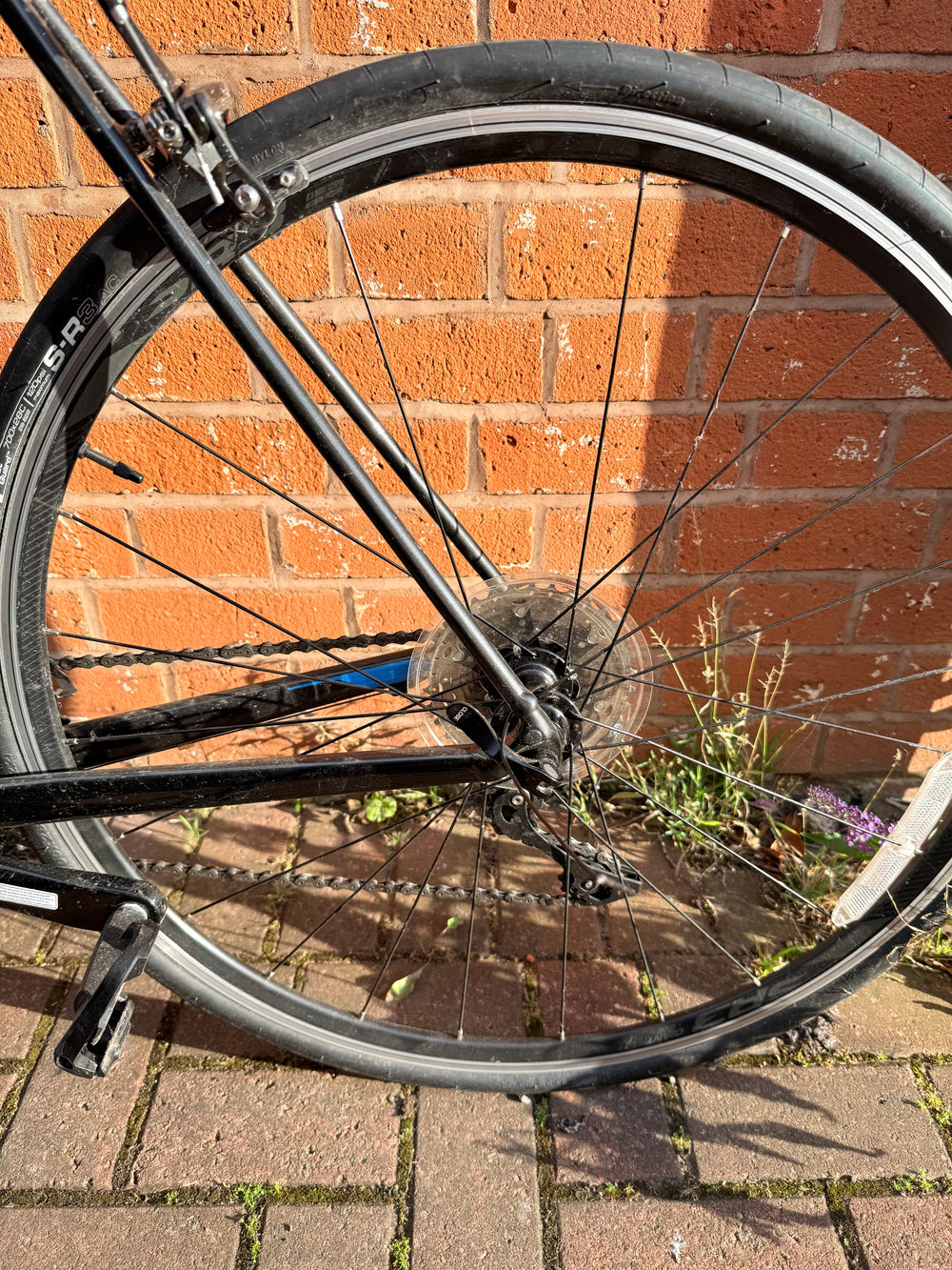 Giant Contend SL 1 2022