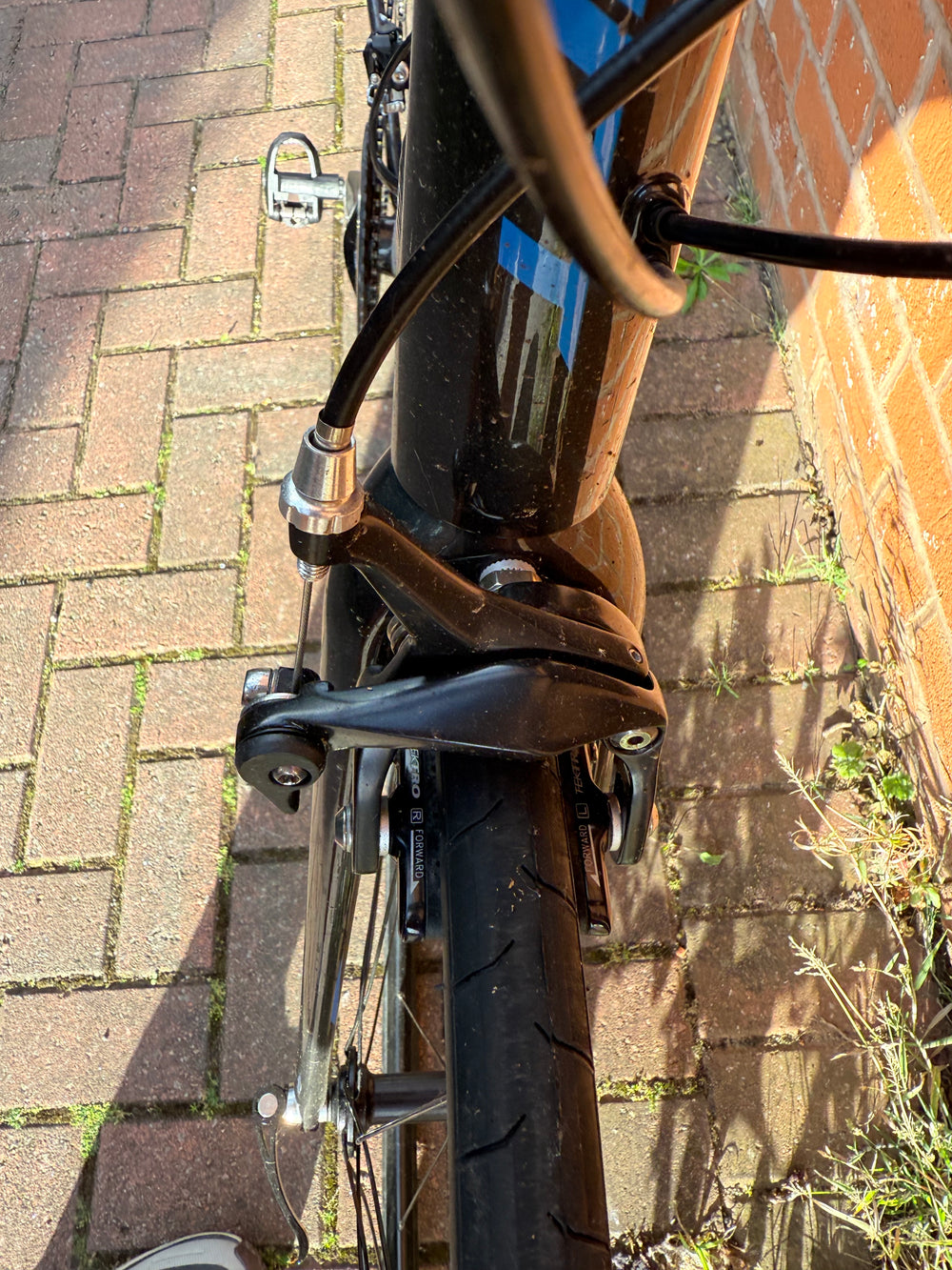 Giant Contend SL 1 2022