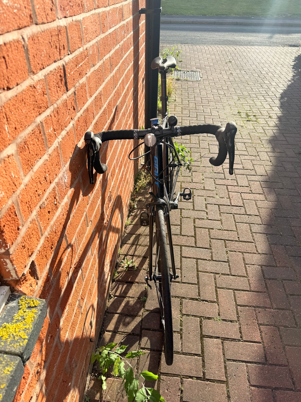 Giant Contend SL 1 2022