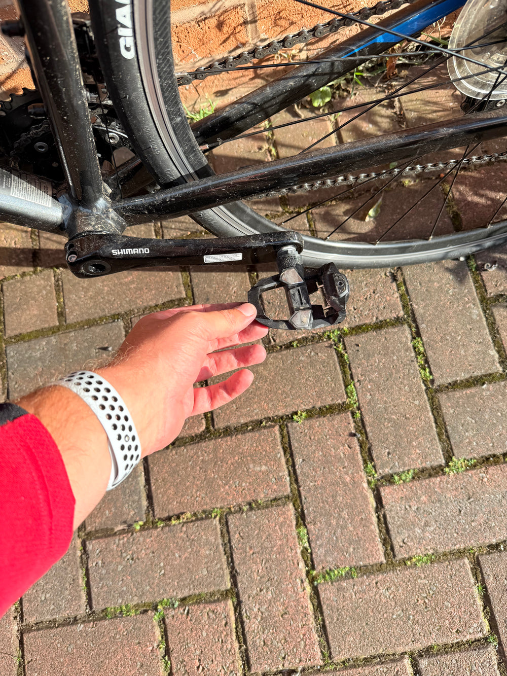 Giant Contend SL 1 2022