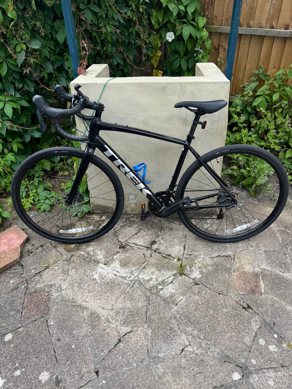 Trek Domane AL 4 Disc 2022