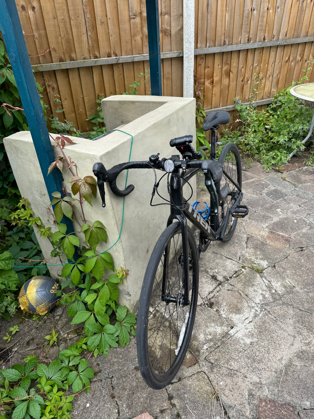 Trek Domane AL 4 Disc 2022