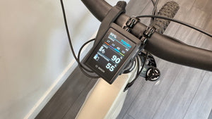 Trek Powerfly+ 8 Gen 5 800Wh Bosch Gen 5 120Nm in Lunar 2025