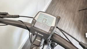 Cube Pro 500Wh X Step Thru
