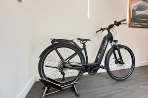 Cube Pro 500Wh X Step Thru