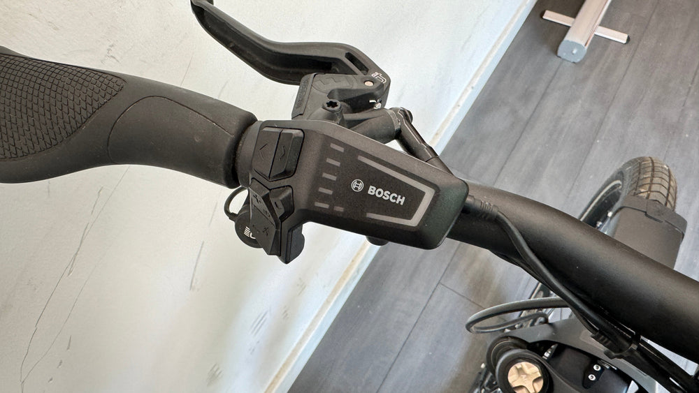 Riese & Müller Charger4 Mixte GT Vario