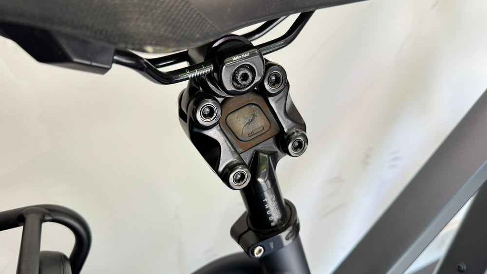 Riese & Müller Charger4 Mixte GT Vario
