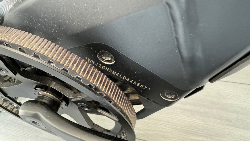Riese & Muller Charger3 GT vario