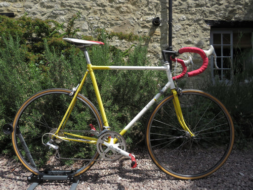 Raleigh Dynatech 500