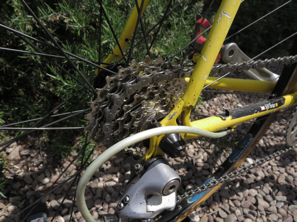 Raleigh Dynatech 500