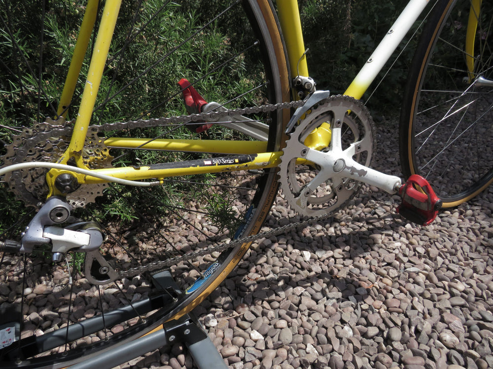 Raleigh Dynatech 500
