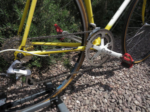 Raleigh Dynatech 500