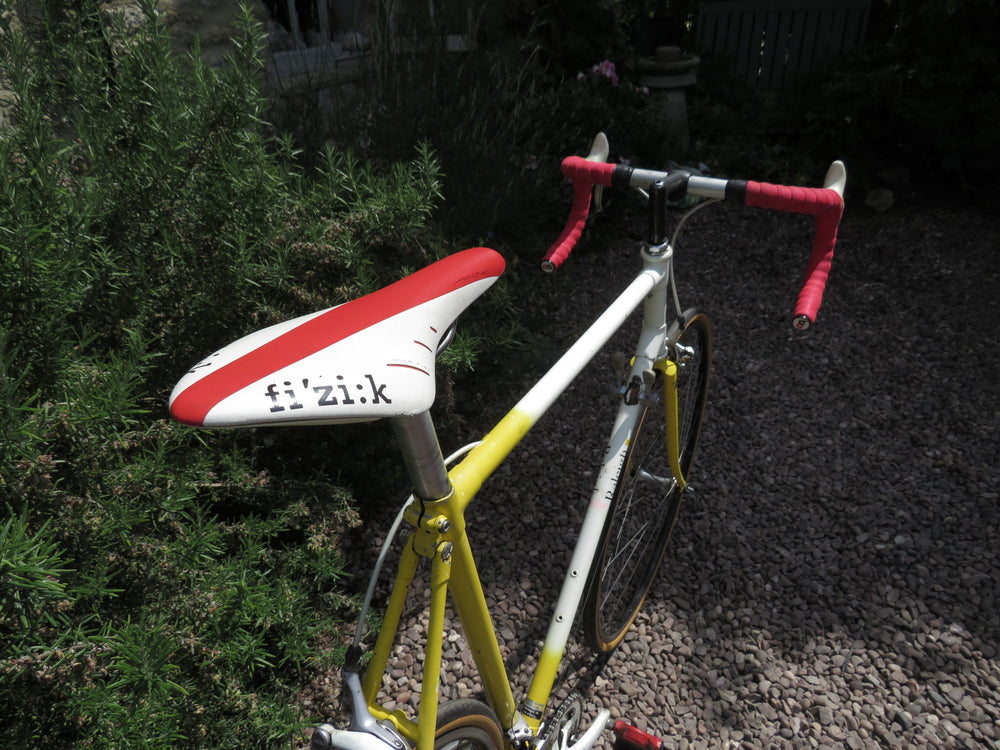 Raleigh Dynatech 500
