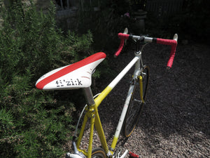 Raleigh Dynatech 500