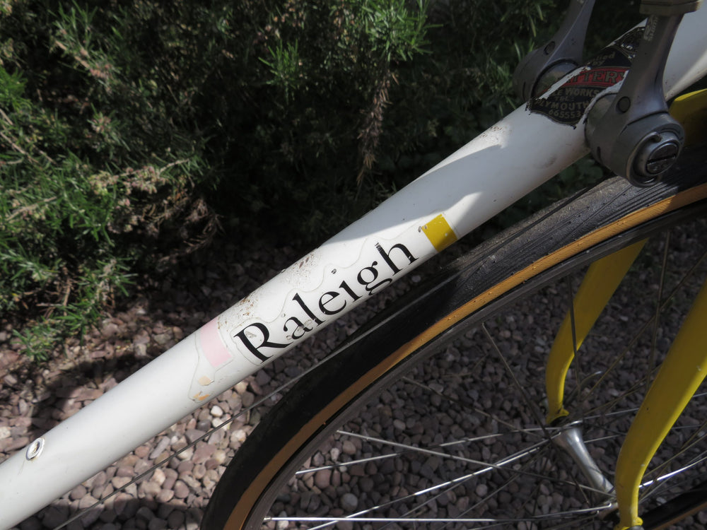 Raleigh Dynatech 500