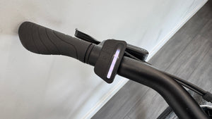 Raleigh One 360Wh 2026