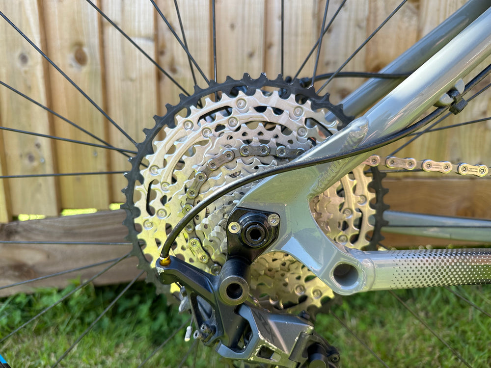 Orange Crush 29 Pro 2021