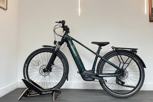 Raleigh Novus Plus Crossbar 800Wh - Forest With Pannier Bag 2026